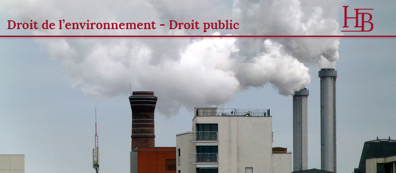 Droit de l'environnement et pollution de l'air : l'État est jugé